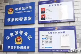 【丰收节】劳作一年的硕果被偷！来看锦州公安苹果园警务室怎么处理……图片