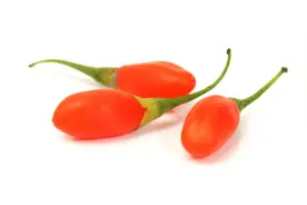 藏文科普 | 枸杞，保温杯里的常驻果实，真正的功效却很少有人知道图片