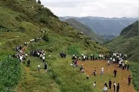 贵州大山里的“龙吟”声，专家说是鸟叫。你信吗？图片