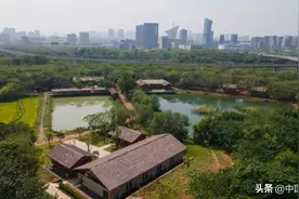 “马蹄莲”往东1公里，光谷藏着千亩秘密田园图片