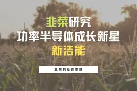 韭菜研究之功率半导体成长新星——新洁能（605111）图片