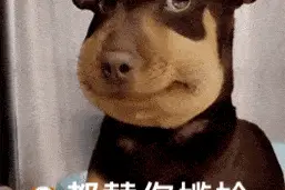 表情包：尴尬（64）图片