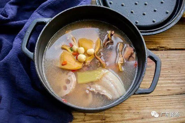 花胶灵芝排骨汤的做法 2026年花胶灵芝排骨汤的做法窍门