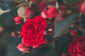 心理学：有这3种性格的女人，大多“晚年凄凉”图片