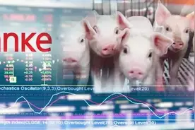 万科转型养猪！卖猪肉比卖房子还赚钱了？图片