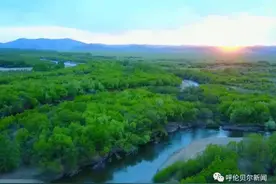 生灵·呼伦贝尔｜静谧柔美的额尔古纳河图片
