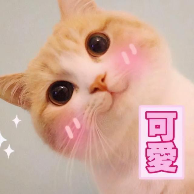 山羊奶身体乳有什么用