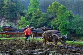 农村老人60岁后，符合条件能领三项补贴，每月不低500元图片