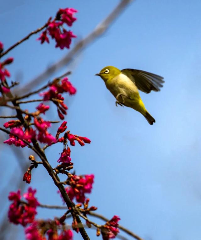 2020������� | �С�������ߣ�������ʳ�Ż�ȯ��������Ʊͳͳ�����