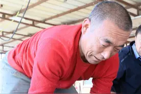 快来围观！肇源茂兴镇渔民捕获44斤重大鲶鱼图片