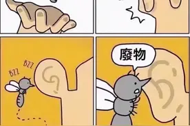 世界最最最最最凶恶的动物图片