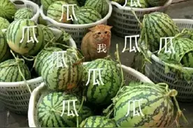 合伙人是啥？M7又是啥？揭秘阿里合伙人制度！图片