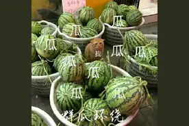 合伙人是啥？M7又是啥？揭秘阿里合伙人制度！图片