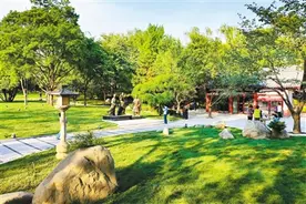 大雁塔附近：两大公园改造后颜值倍增图片