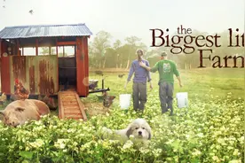 不用农药，让超1000种动植物生态平衡，这次美国人真的做到了图片