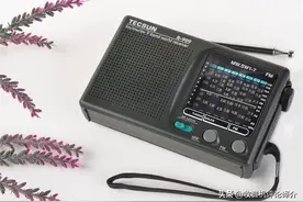 德生收音机的“常青树”R909，能得到美国用户的认可吗？图片
