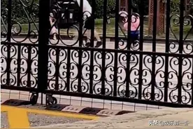 李小璐贾乃亮携甜馨现身公园，打羽毛球被众人称赞，疑似和好？图片