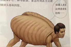 如果人类和动物交换身体，会发生什么？荒诞又滑稽的样子太好笑图片