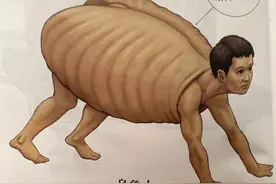 如果人类和动物交换身体，会发生什么？荒诞又滑稽的样子太好笑图片