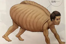 如果人类和动物交换身体，会发生什么？荒诞又滑稽的样子太好笑图片