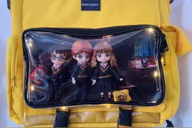 漂亮的痛包图片