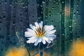 真正有本事的男人，对家人的态度不同图片