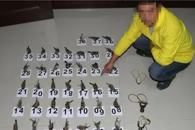 今年有80多人因抓麻雀获刑：判决书定每只300元，捕获后被猫吃掉判非法狩猎罪，含多名老人年龄最大78岁图片