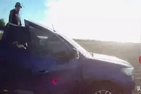 两条“流浪藏獒”四处“伏击”家禽，民警果断开枪击毙图片