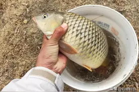 这十三种渔具和部分渔药早已被禁用，为何禁而不止？渔人贪婪造成图片
