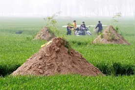 祭祀烧纸时，有烧掉一半的纸钱该怎么办？不要用木棍挑动图片