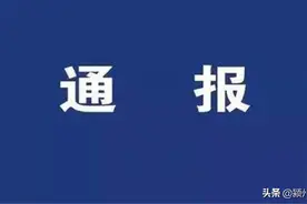 校外培训机构“退费难”、“跑路”，阜阳三个月受理投诉近300件，涉及长颈鹿美语，优胜教育、朴胜教育等图片