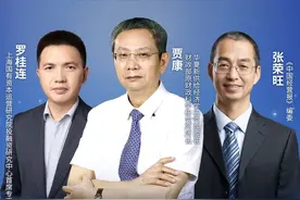 中篇 | 地方发展战略、负债运营和地方平台公司高质量转型发展图片