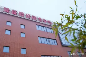 隆基VS中环：谁才是光伏行业的龙头老大？图片