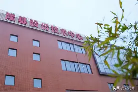 隆基VS中环：谁才是光伏行业的龙头老大？图片