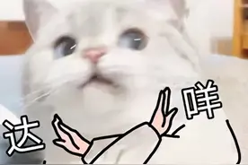 过午不食or七分饱？哪个更健康，更减肥？图片