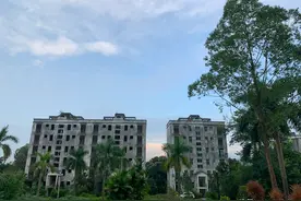 住在广州最大的烂尾楼盘的退休老人们图片