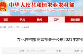 厉害！广西梧州岑溪这个镇入选全国农业产业强镇....图片