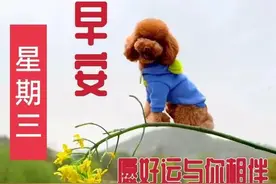 早晨安好：用心甘情愿的态度，过随遇而安的生活，早晨好图片