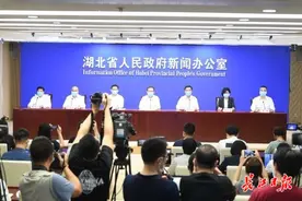 武汉市常务副市长胡亚波：集中核酸检测排查工作已比较顺利完成，尽力让每一位市民都做检测图片