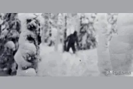 俄罗斯8年前现大雪怪，身高2米多体型健壮，至今不知是何生物图片