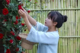 李子柒用5吨竹子做篱笆，学她建一个绝美的篱笆小院图片