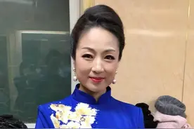 上党梆子索伟琴图片