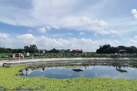 啥？博罗也能钓小龙虾，坐标就在石坝镇三嘉村图片