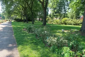 出国定居后，会注销户口？不能缴养老金？昨天我家人咨询了社保局图片