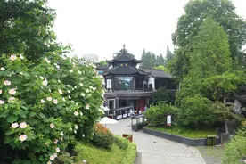 扬州精美早茶，让游人吃成了快餐店，我们差在哪儿？图片