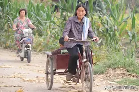 在乡村的秋天，有一种幸福，叫帮忙给父母掰“棒子”图片