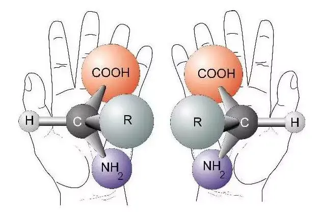 氨基酸在农业上的应用价值