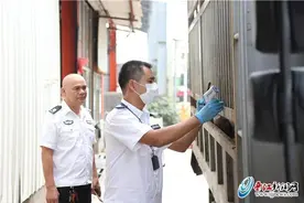 起早贪黑 坚守动物检疫第一线 朱金阳：当好“放心肉”的把关人图片