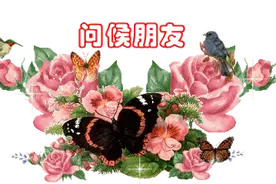 早上好，送给群里每一位朋友，太美了，太漂亮了图片