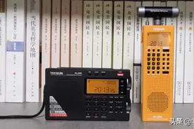 不知道选德生PL330，还是PL368收音机？图片